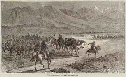 Grabież bydła na pograniczu Scinde